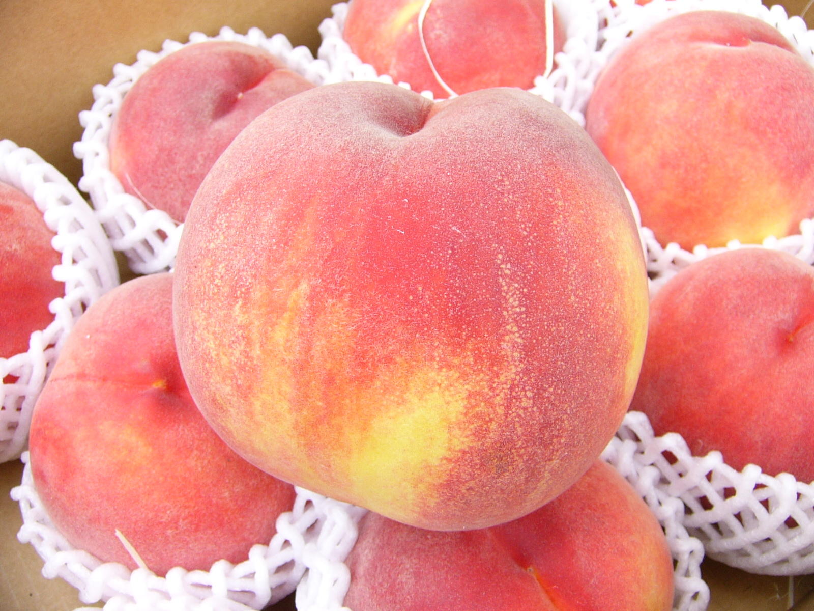 桃の旬の時期はいつでしょうか 川中島白桃 桃 通販 長野県産の美味しい桃 川中島白桃 を全国にお届けします
